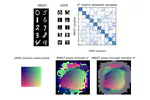 New publication at Neurips 2020 : Co-Optimal Transport